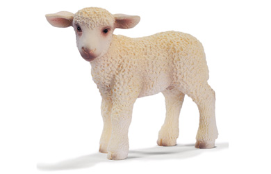 Unbranded Lamb Standing