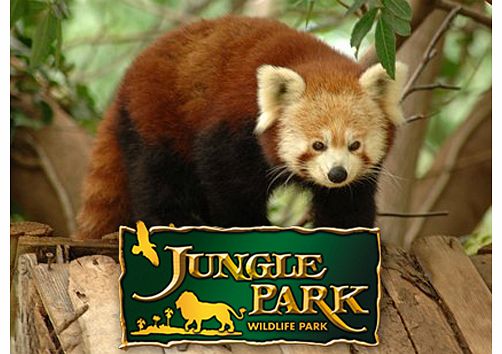 Las Aguilas Jungle Park Tenerife Meet some truly amazing animals at Las Aguilas Jungle Park a zoological and botanical park thats home to more than 75 000m of jungle and over 500 animals! Youll see all kinds of species from the exotic to the endanger
