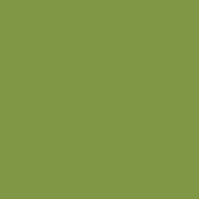 Unbranded Lastolite 2.72x11m Paper Roll - Leaf Green