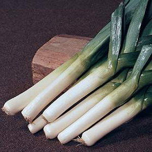 A productive  late summer to early autumn leek with good tolerance to Leek Rust. It produces long  p