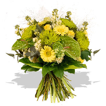 Unbranded Lemon and Lime - flowers