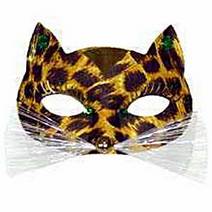 Leopard eye-mask with clear whiskers. These have been enhanced for the photograph. These photos are 