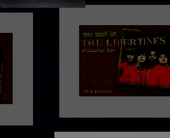 Unbranded LIBERTINES