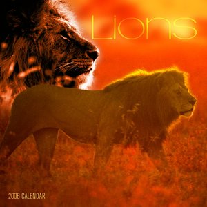 Lions 2006 calendar