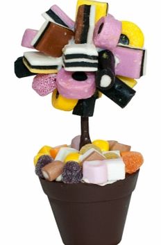 Liquorice Allsorts Sweet Tree - 18cms TallSimply scrumptious, mostly edible sweet tree, made from traditional liquorice Allsorts sweets.The 18 cms (7 inches) tall tree has Liquorice Allsorts stuck to an edible ball, which is then planted in a block o