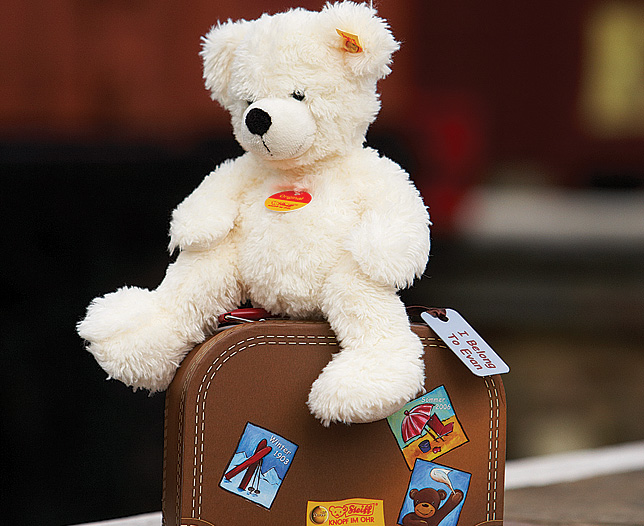 Unbranded LOTTE- Steiff Teddy and Suitcase, Plain
