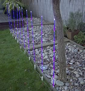 Low Voltage Garden Lights