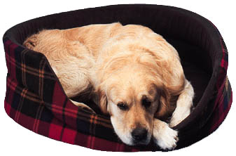 Luxury Pet Bed 90cm (36")