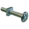 M6 x 25mm Roofing Bolt with Nut
