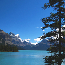 Unbranded Maligne Valley Sightseeing and Boat Cruise - Adult