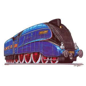 Mallard Train - Blue T-shirt