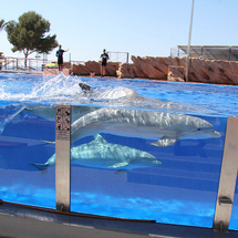 Unbranded Marineland from South of Majorca - Adult