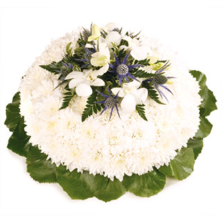 A beautiful massed posy pad in white edged by foliage completed with a delicate blue and white spray
