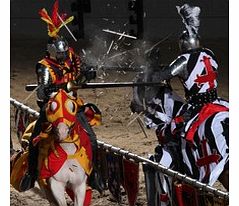 Journey back to the eleventh century for an adventure unlike anything you have ever experienced before! Enjoy an authentic medieval feast while valiant knights on horseback do battle to the death.