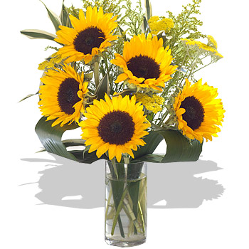Unbranded Medium Sunflower Delight - flowers