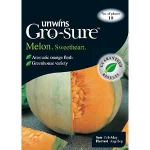 Unbranded Melon Sweetheart Vegetable Seeds