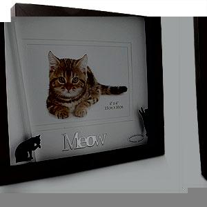 Unbranded Meow Cat 6 x 4 Photo Frame