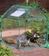 Unbranded Mini Pop-Up Greenhouse
