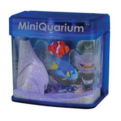 Unbranded MiniQuarium - Funky Fish