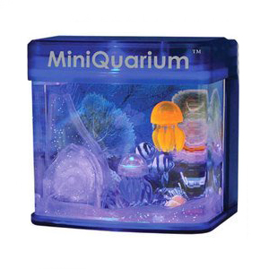The miniquarium jellyfish USB version is the perfect relaxation tool for any office or bedroom, simp