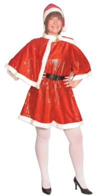 Unbranded Miss Santa Dress with Sequin