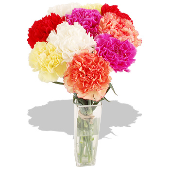 Unbranded Mixed Carnations Bouquet - flowers