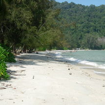 Unbranded Monkey Beach with Barbeque Lunch - Private Tour