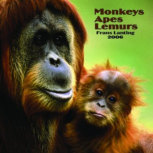 Monkeys Apes & Lemurs 2006 calendar