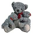 Unbranded Mother Bear and Children Traditional Soft Toy