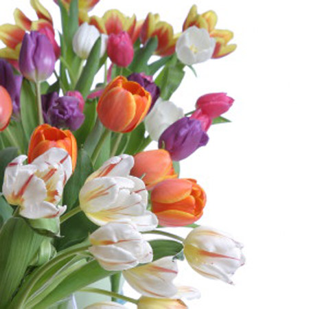 Unbranded Mother` Day Mixed Tulips