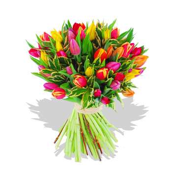 Unbranded Mothers Day - Tulip Sensation - flowers