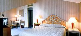 Unbranded Movenpick Hotel Central Park - 4* in Rome