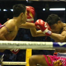 Muay Thai Kickboxing in Bangkok - Adult