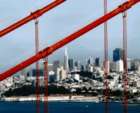 Muir Woods & Bay Cruise Tour Combo Adult Ticket