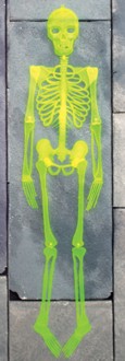 Unbranded Neon Skeleton 60 Inch (Assorted Colour)