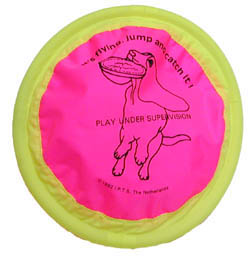 Nylon Frisbee
