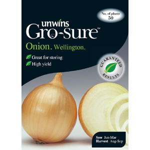 Unbranded Onion Wellington Vegetable Seeds