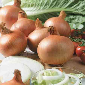 Unbranded Onion Yellow Sweet Spanish Seeds