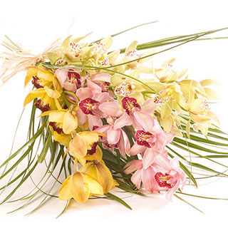 A stunning and charming bouquet of trendy Cymbidium Orchid stems simply tied with raffia and present