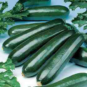 Unbranded Organic Courgette Dundoo Seeds