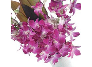 Unbranded Oriental orchid bouquet