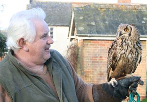 Owl Flying Experience in Wiltshire