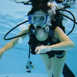 PADI Open Water Referral Dive Course