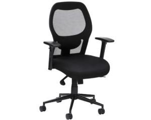 Unbranded Parajo executive mesh chair