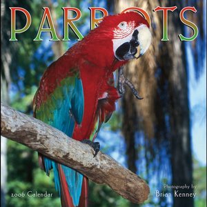 Parrots Calendar