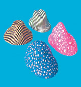 Party Hats, 12 pack of mini harlequin style