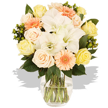 Unbranded Pastel Amaryllis Bouquet - flowers
