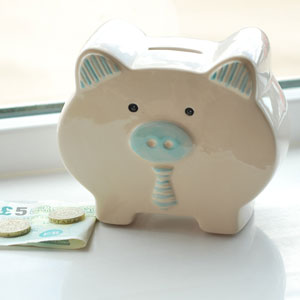 Unbranded Pastel Pals Blue Pig Ceramic Money Box