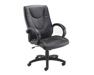 Unbranded Pavo high back executive leather chair