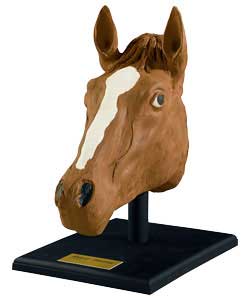 Enables budding sculptors to recreate a realistic horses head on the skull provided, regardless of